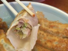 【宇都宮】７軒行ったよ、　宇都宮餃子を食べ歩き！