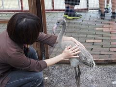 富士花鳥園で花を愛で鳥と戯れてきました