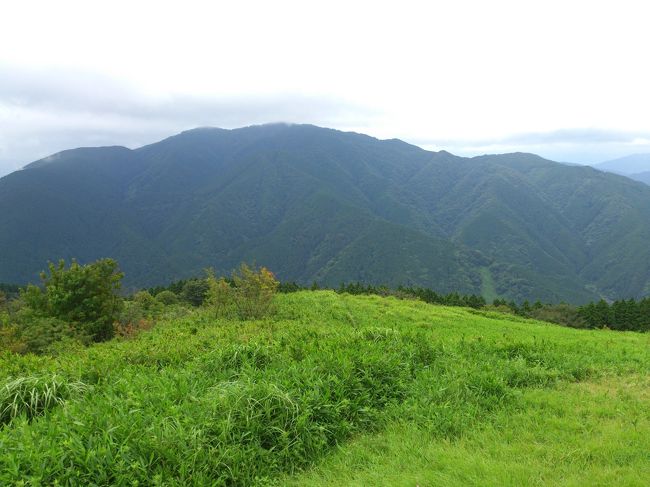 「旅行」というより「ハイキング」なんですが、アップします。<br /><br />最近、ちょっとした山登りに目覚めてきたところでして、「ダイヤモンドトレイル（通称：ダイトレ）」に行っています。ダイトレは大阪府・奈良県・和歌山県が共同で整備している登山道で、大阪⇔奈良県境にある大和葛城山、金剛山などの山稜を縦走して結び、北は屯鶴峯から南は槇尾山まで全長45kmもの長さがあります。前回は、北の起点である屯鶴峯から大和葛城山まで、およそ1/3を歩きました。今回、その続きということで、大和葛城山から紀見峠までの約1/3強を行くことにしました。<br /><br />①08:35　近鉄富田林駅に到着。ここから金剛バスに乗ります。<br />②08:52　葛城登山口のバス停でバスを降り、葛城山登山スタート。<br />③10:01　葛城山頂に到着。<br />④10:45　水越峠を通過。<br />⑤12:08　金剛山頂（葛木神社）到着。<br />⑥13:00　ちはや園地でお昼ご飯。腹減ってたのでコンビニおにぎり３個を一気食いです。<br />⑦13:25　ちはや園地を出発<br />⑧13:48　久留野峠を通過<br />⑨13:55　中葛城山<br />⑩14:05　高谷山<br />⑪14:25　千早峠を通過<br />⑫14:40　神福山に寄り道<br />⑬15:02　行者杉でちょっと休憩<br />⑭15:25　杉尾峠を通過<br />⑮15:35　タンボ山<br />⑯15:51　行者祠西ノ行者を通過<br />⑰16:25　山ノ神を通過<br />⑱16:40　ダイトレ紀見峠のポイントまで到着！<br />⑲17:16　南海紀見峠駅に到着。電車に揺られて帰りました。<br /><br />また来月は真夏ですが、もし気が向けば（笑）最後の1/3：紀見峠～槇尾山に行ってみようかと思います。