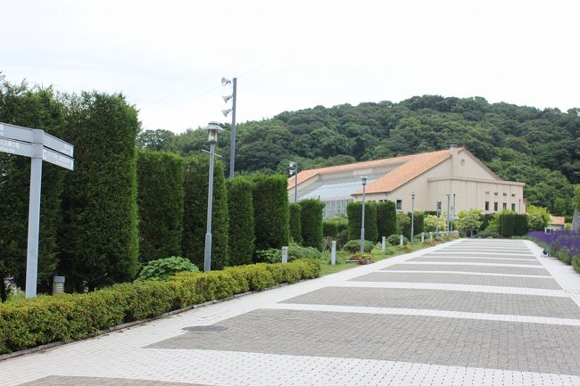 関東から来た姉妹が、淡路島に行ってみたい！とのことで、日帰りの計画を立てました。<br /><br />乳児と幼児連れなので、歩き回ったりするのも難しく・・・<br /><br />淡路ハイウェイオアシスなら、便利じゃないかな？？<br />決定！<br /><br />まずは、船で行くルートもある！と気づき、行きは船、帰りはバスにすることに。<br /><br />明石駅からあるくこと10分ほど、魚の棚を横目で見つつ、岩屋乗り場に着きます。<br />http://www.jenova-line.co.jp/<br /><br />待合室は小さく、自動販売機が数台。<br />平日午前中でしたが、船を待つ人は20人いなかったんじゃないかな？？<br /><br />20分ほど待ち、いよいよ入船、思ったより大きな船でした。<br /><br />スピードが速く、船が行きかう中、淡路島海峡大橋をくぐって、あっという間に淡路島！<br />15分ほどでしょうか。<br />降りるのが残念なくらい、快適な船でした。<br /><br />岩屋港に到着。<br /><br />降りると、売店が2-3店。<br />小さな港です。<br /><br />岩屋港前にタクシー乗り場があり、3台ほど待機していたので、タクシー利用でウェイオアシスまで。<br />道々、タクシーの運転手さんから地元の話を聞けて楽しかった。<br />10分ほどで着きました。<br /><br />長いエントランスを歩いて、ハイウェイオアシスの建物へ。<br /><br />きれいなおおきな洋館。<br />前庭からは海が見えます。<br /><br />１階はお土産売り場とフードコート。<br />そして、明るいカフェがあります。<br /><br />お土産は後で見ることにして、まずはランチを。<br />フードコートの、海苔巻やラーメン、バーガーなども魅力的でしたが、２階の和食屋さんに決めました。<br /><br />淡路牛を使った牛丼、しらす丼、海鮮丼と鯛うどんのセット、お子様ランチ。<br /><br />店内は明るく清潔で、店員さんも親切。<br /><br />淡路米ビールを頼み、乾杯。<br />ランチをいただきます。<br /><br />淡路牛の牛丼。<br />こちらは、ローストビーフのようなお肉が並べられていて、豪華。<br />柔らかくておいしい。<br />添えてある野菜も鮮やか、玉ねぎがあまい。<br /><br />しらす丼は、新鮮なお刺身と生のしらす。<br />全然生臭くなくて、初めて食べましたがおいしかった。<br /><br />お子様ランチは、おうどんやカレー、まあこんなものでしょうね。<br /><br />いちばん好評だったのが、鯛のおうどん。<br />おだしがおいしい！！<br />ずっと飲んでいたい、という妹の感想でした。<br /><br />お昼のあとはお買いもの。<br /><br />売店は、けっこうなひとがいて、混み合っています。<br /><br />淡路島名物がこれでもか！<br />そして、神戸の名物、四国の名物も少し。<br /><br />買い物あとは、カフェでソフトクリーム。<br />濃すぎず、甘すぎず、さっぱり。後味がよかった。<br /><br />４時間ほどの滞在だったでしょうか。<br /><br />帰りのバス停に向かいます。<br /><br />が、これが、わかりにくい！<br />ぎりぎりバスに間に合って、30分ほどバスに乗り、三宮に。<br /><br />楽しい旅行でした。<br /><br /><br />フードコートも<br />