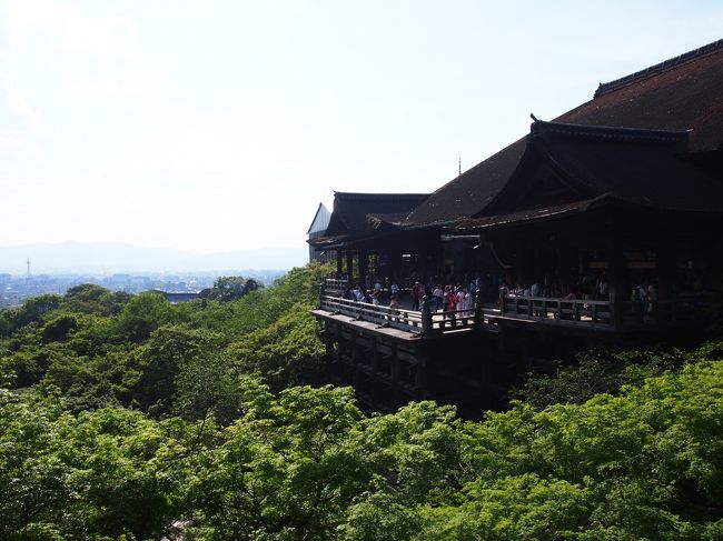 2015年のゴールデンウィークに京都と奈良に旅行に行きました。<br />京都と奈良の歴史的な街並みと春の息吹を満喫しました。<br />京都では清水寺、八坂神社、金閣寺など、奈良では、薬師寺、唐招提寺、法隆寺、東大寺、春日大社などの世界遺産を含む観光名所を回りました。<br />京都の懐石料理、奈良の柿の葉寿司など食も満喫し、中村藤吉商店のほうじ茶ゼリー、林万昌堂の甘栗、加藤順漬物店の漬物などお土産も沢山買いました。<br /><br />初日は京都に到着後、八坂神社や清水寺を巡り、河原町近辺を街歩きしました。<br />清水寺からの見事な眺望を眺めた後、京都のイメージにぴったりの街並みの三年坂、八坂通、法観寺を通り、散策しました。<br />外国からの観光客の方もかなり来ており、国際的な観光地といった趣でした。