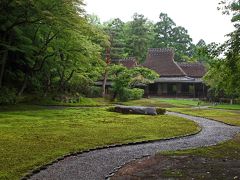 奈良　吉城園　苔を見る３　梅雨には梅雨の楽しみ方がある