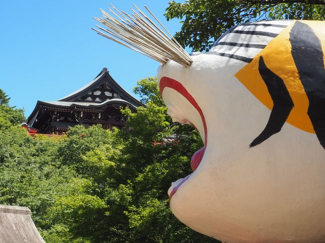 梅雨があけ暑くなりそうなこの日、山に行けばその高度差で、少しは涼しく過ごせるのでは。<br /><br />そこで思いついたのは、信貴山。<br /><br />久しぶりに奈良の方に出かけるのもまた好し。<br /><br />涼しさを期待しつつ、朝護孫子寺（ちょうごそんしじ）の寅さんたちに会いに出かけました。<br /><br />【写真は、大寅と朝護孫子寺の本堂です。】