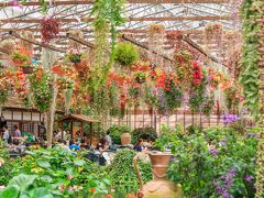 花の色、鳥の色、自然の色を満喫する旅～富士花鳥園・白糸の滝・まかいの牧場・花の都公園～