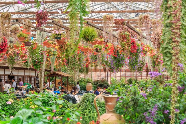 花の色、鳥の色、自然の色を満喫する旅～富士花鳥園・白糸の滝・まかいの牧場・花の都公園～