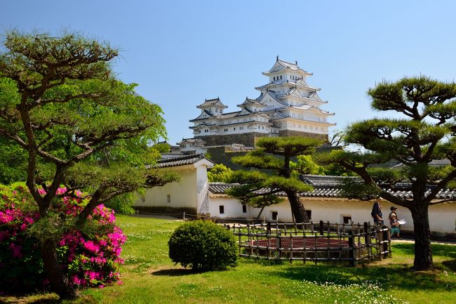 2015年のゴールデンウイーク、５泊６日のぶら～り周遊の旅へ。<br />兵庫県の「姫路」がその最初の目的地！<br /><br />世界遺産に指定されている「姫路城」は、江戸時代初期の築城より、約400年経った今でも往時の姿を留めている稀有な城郭で、姫路観光ではもちろん外せないスポット☆<br />そして今年の３月に、約５年かけて行われた“平成の修理”が終わってから初めてのＧＷということもあり、大混雑することはもう目に見えています。<br /><br />そこで、当日の朝７時過ぎに駅前のホテルからいざ「姫路城」へと登城！<br />………しかしながら、こんなスケジュールを軽～く上回る猛者たちが大勢いました（苦笑）<br /><br />結局、お昼近くまで「姫路城」オンリーの行程になってしまいました。<br />それでもその分、威風堂々と聳える５層７階の大天守はもちろんのこと、広大な空間に櫓や門などをはじめとする城郭建築がほぼ建築当初の状態のままで残されており、世界遺産にふさわしい華麗さと壮大さを体感できました♪<br />もちろん観光客の数もそのクラスの凄さでしたけど……。<br /><br />【 旅の行程 】<br />・ヴィアイン姫路 ～ 姫路城 ～ 城見台公園 ～ 姫路駅<br /><br />【 2015・GWぶら～り周遊記・姫路編 】<br />・旅行記その１～新緑薫る“西の比叡山” 書写山圓教寺をゆく～<br />　（兵庫県姫路市）： http://4travel.jp/travelogue/11015611<br />・旅行記その２～威風堂々と聳える白鷺の天守閣・姫路城登城記～<br />　（兵庫県姫路市）： ≪この旅行記≫<br /><br /><br />【 2015・GWぶら～り周遊記・鳥取横断編 】<br />・旅行記その１～時が止まった宿場町 因幡街道・智頭宿を歩く～<br />　（鳥取県智頭町）： http://4travel.jp/travelogue/11036326<br />・旅行記その２～日本一の“スナバ”鳥取砂丘 ＆ 瀟洒な白亜の洋館・仁風閣へ～<br />　（鳥取県鳥取市）： http://4travel.jp/travelogue/11037617<br />・旅行記その３ ～因幡国の歴史の断片を追って・・・鳥取城跡登城記 ＆ 古の万葉の故郷へ～<br />　（鳥取県鳥取市）： http://4travel.jp/travelogue/11041734<br />・旅行記その４ ～（ちょっと慌ただしく）三徳山三佛寺拝観 → 開湯850年の三朝温泉そぞろ歩き → 重伝建地区・倉吉白壁土蔵群巡り～<br />　（鳥取県三朝町・倉吉市）： http://4travel.jp/travelogue/11058283<br />・旅行記その５ ～霊峰・大山の内懐へと入り込み、修験道の聖地に残る社寺を巡る～<br />　（鳥取県大山町）： http://4travel.jp/travelogue/11070751<br /><br />【 2015・GWぶら～り周遊記・岡山縦断編 】<br />・旅行記その１ ～ベンガラが語りかける繁栄の記憶　吹屋・重要伝統的建造物群保存地区を<br />　歩く①～<br />　（岡山県高梁市）： http://4travel.jp/travelogue/11073666<br />・旅行記その２ ～ベンガラが語りかける繁栄の記憶　吹屋・重要伝統的建造物群保存地区を<br />　歩く②～<br />　（岡山県高梁市）： http://4travel.jp/travelogue/11084690<br />・旅行記その３ ～今も天守が残る日本一高い山城・備中松山城登城記～<br />　（岡山県高梁市）： http://4travel.jp/travelogue/11088259<br />・旅行記その４ ～旅のフィナーレに、夕闇に包み込まれた幻想的な倉敷美観地区を歩く～<br />　（岡山県倉敷市）： http://4travel.jp/travelogue/11089459<br /><br />【 日本100名城登城記（近畿地方編） 】<br />・千早城（大阪府千早赤阪村）<br />　http://4travel.jp/travelogue/10893076<br />・和歌山城（和歌山県和歌山市）<br />　http://4travel.jp/travelogue/10915892
