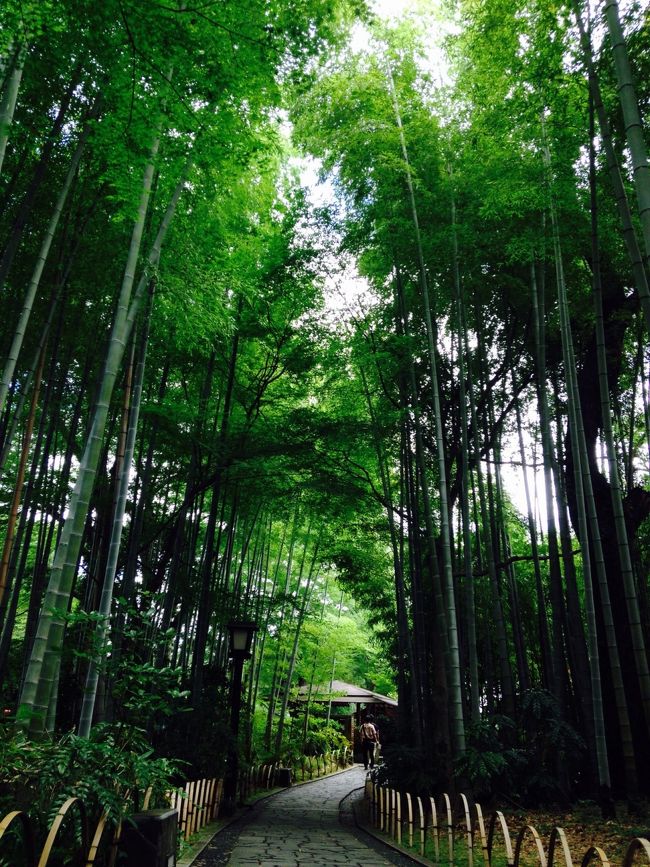 大人も子供も楽しめる修善寺温泉周辺散歩と修善寺虹の郷の日帰り旅 修善寺温泉 静岡県 の旅行記 ブログ By カジュトシュさん フォートラベル