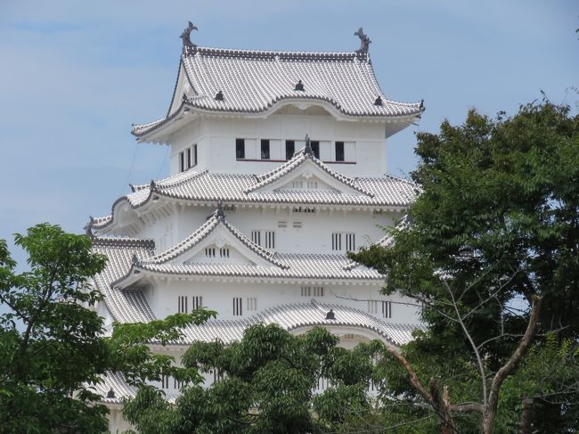 とある日?エースより、日帰り優待旅行の案内状が届きました。<br />土日祝日でも@4000円ほどで‘姫路城’に行けるというツアーだったので、往復の交通費と入場料@1000円で元がとれる♪と参加する事にしました。