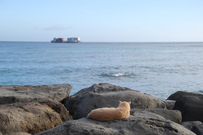 夏休みビーチ旅 2015　のんびりハワイオアフ島の旅③　カカアコ・ウォーターフロント・パーク