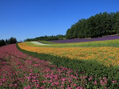 2015　北海道の旅～（２）富良野のラベンダー畑と美瑛・青い池と四季彩の丘