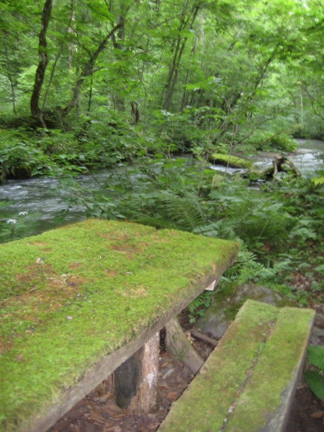 6月の札幌でプチ旅行にハマったえりんぎ家(´・ω・`)<br />7月は青森県の奥入瀬渓流へ。<br /><br />ガリヲが夏休み取れないかもとの由にて、<br />行けるときに旅に出ようというコンタンです。<br /><br />〜ある日の晩〜<br />ガリヲ:次どこ行く?<br /> 秋田とか?<br />えりんぎ:え〜。 ○○がいいよ。いや△△<br />(中略)<br />えりんぎ:奥入瀬は?<br />ガリヲ:それだっ!!<br /><br />2015年7月16日 はやぶさ3号で八戸へ<br />2015年7月17日 はやぶさ24号、やまびこ148号で帰宅<br /> (仙台乗り換え)<br />星野リゾート 奥入瀬渓流ホテル宿泊<br /><br />※ガリヲ=えりんぎ旦那