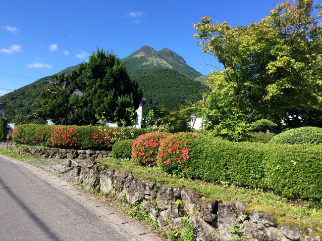 妻の誕生日旅行ということでリクエストに応えて九州旅行に行きました。<br />梅雨入りする前に、福岡、長崎市内、ハウステンボス、湯布院等を満喫しました。湯布院ではホタルも見られ、良いバースデープレゼントとなりました。<br />①長崎空港到着、長崎市内観光、ハイステンボス泊、有田、吉野ヶ里遺跡、福岡泊<br />②福岡市内観光、太宰府天満宮、湯布院、ホタル鑑賞