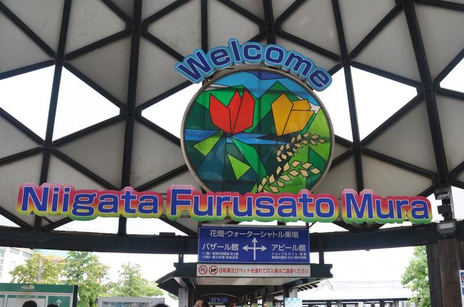 1台の車に義父と妹夫婦を乗せ、久々のドライブ。<br /><br />新発田の「聖籠温泉」に泊まり、チェックアウトの11時までゆっくり温泉でも<br /><br />と、思っていたのだが、朝の天気予報が大雨だ雷だと不安にさせる。<br /><br />でも、まだ青空の方が多い。それなら阿賀野川の舟下りがしたいと父が言い<br /><br />天気を気にしながらも出発!<br /><br />