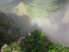 苔の森を抱いた八ヶ岳へ～初めての単独山小屋～