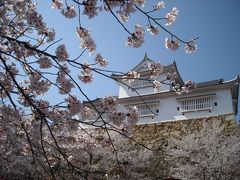 お花見するなら津山城鶴山公園