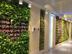 初めての子連れ台湾旅行　Vol.4