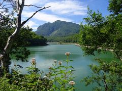 志賀高原の花々とたわむれ、ーーーそして感じる日本の危機？！