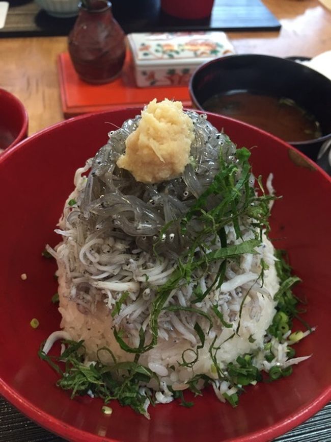 先日の3連休最終日に鎌倉に行ってきました。絶品生しらす丼を頂いて大満足♪  もっと詳しくは旅行記ブログをご覧ください！http://ameblo.jp/magnetlover