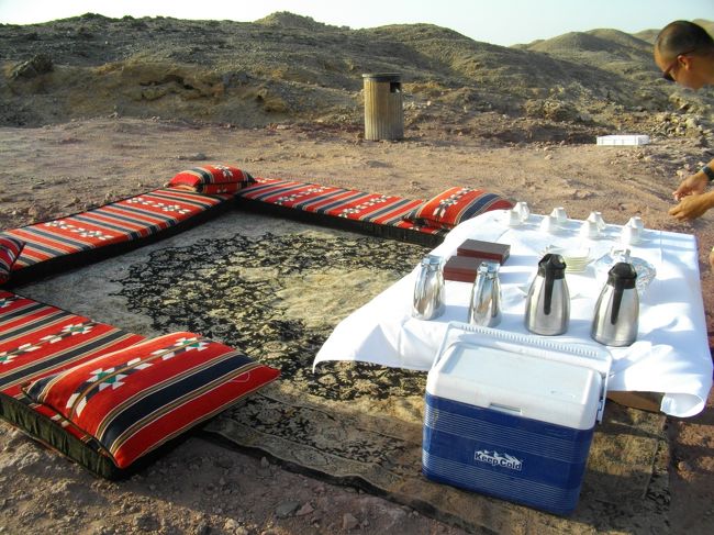 さんざん悩んで決めた現地でのアクティビティ<br />・Anantara Qasr al Sarab Desert Resort<br />では、サンライズラクダ乗りCamelTrack 305Dh++で、2人で 23000円 <br />・Anantara Desert Islands Resort & Spa<br />では、Wildlife drive 250++で 2人で19000円<br /><br />高いが...どっちも最高でしたっ!<br />