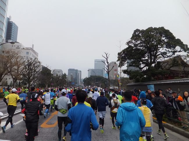 2015年の東京マラソンに出場しました。前日の東京マラソンEXPO、そして当日の東京マラソンの模様を旅行記として作成しました。<br />日比谷から品川の折り返しまでです。