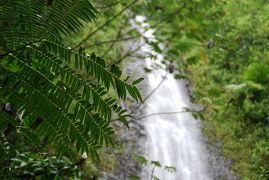 夏休みビーチ旅 2015　のんびりハワイオアフ島の旅⑤　MANOA FALLS TRAIL