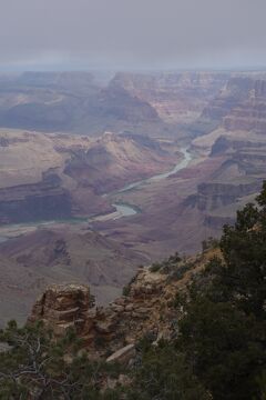 【予告編】出張のついでに(114) ラスベガスから１泊２日の旅 ③グランドキャニオン (2015年5月 ワシントンＤＣ出張＋αのあちこち）