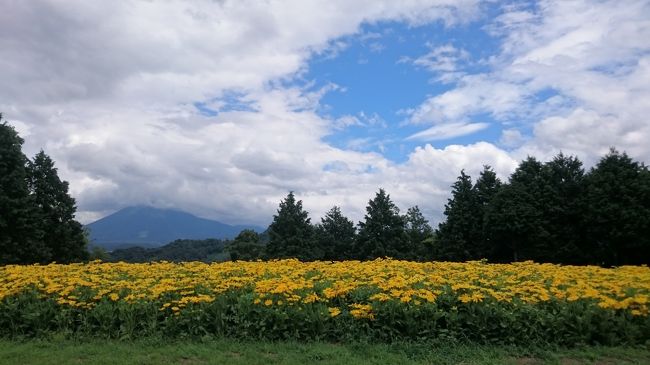 昨年の和倉温泉、今年の雄琴温泉へ行ってからすっかり温泉好きになってしまった。<br /><br />冬まで待てない！というわけで鳥取の三朝温泉へ行ってきました☆<br /><br />ど平日に行ったというのもあって、人が少なくてなんて快適なの鳥取！！