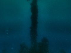 71年前の戦場へトラック諸島でDIVE！～徴傭船 花川丸(HANAKAWA MARU)～