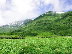 憧れのサンカヨウに逢いに-1日目