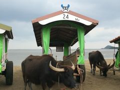 沖縄の離島巡り～5日目