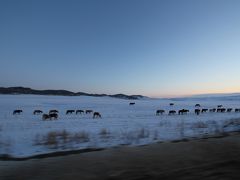 モンゴルのズーンハラーにて雪原乗馬