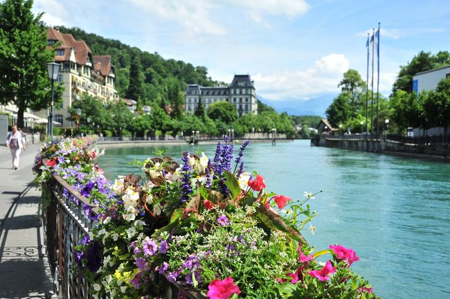 スイス花とハイキングの旅トゥーン