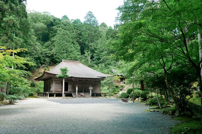 1120　世久見の交差点を左折．国道162号線を若狭まで戻る．途中の道を入り1154　羽賀寺へ．ここの十一面観音は有名だ．驚いたことにこれからの4つのお寺．すべて仏像をゆっくりと拝観できることだ．とてもうれしいがセキュリティ大丈夫かとも思った．羽賀寺の本堂も素晴らしい．次に国分寺．過去の栄華から見ると小さなお寺だった．釈迦堂と収蔵庫と庫裏のみ．収蔵庫の薬師如来は鎌倉初期の仏像．運慶快慶につながるような洗練された若々しいほとけ様だった．次に近くの若狭姫神社．若狭彦神社と同じように大きな木々が茂り神々しい場所だった．1313　国道162号線沿いの圓照寺に．まるで倉庫のようななか（といっても18世紀の座禅堂）神々しい大日如来！これもまたすばらしい！思ったより大きな仏様．藤原時代のふくよかで柔和な宇宙の佛だ．<br />最後に1333　妙楽寺へ　二十四面千手観音立像やその厨子がすばらしい．堂の後ろ側の聖観音も佳作．しかし木々の中にたたずむ本堂が美しい．しばし堪能する．仏像の写真は禁止なのでやむを得ずパンフを掲載した．<br />1352見学終了．時間がないので多田寺のみ行けなかったが7つのお寺を回ることができた．どの仏像も素晴らしいが，私には国分寺の薬師如来，圓照寺の大日如来が特に印象に残った．自分のペースで回れるのも一人旅の良さだ．