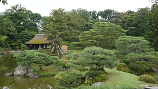 京都2015初夏の桂離宮 