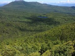 女子三人弾丸、山へ行く。北八ヶ岳の森と登山を堪能する山旅。小学生と中学生と行く。～白駒湖、にゅう、中山、高見石小屋、白駒湖周遊コース～