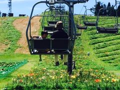 暑かったので　涼とゆりの花を求めて箱館山へ＾＾