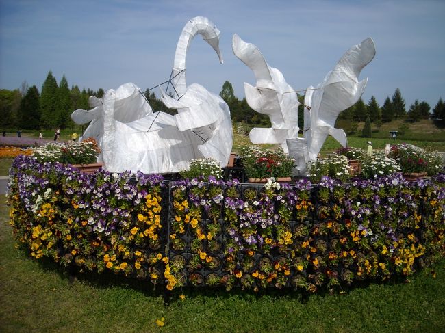 5月の上旬なので桜はすでに終わっていますが備北丘陵公園に行きました。この時期はネモフィラという青くて小さな花が可愛らしく綺麗に咲いていました。