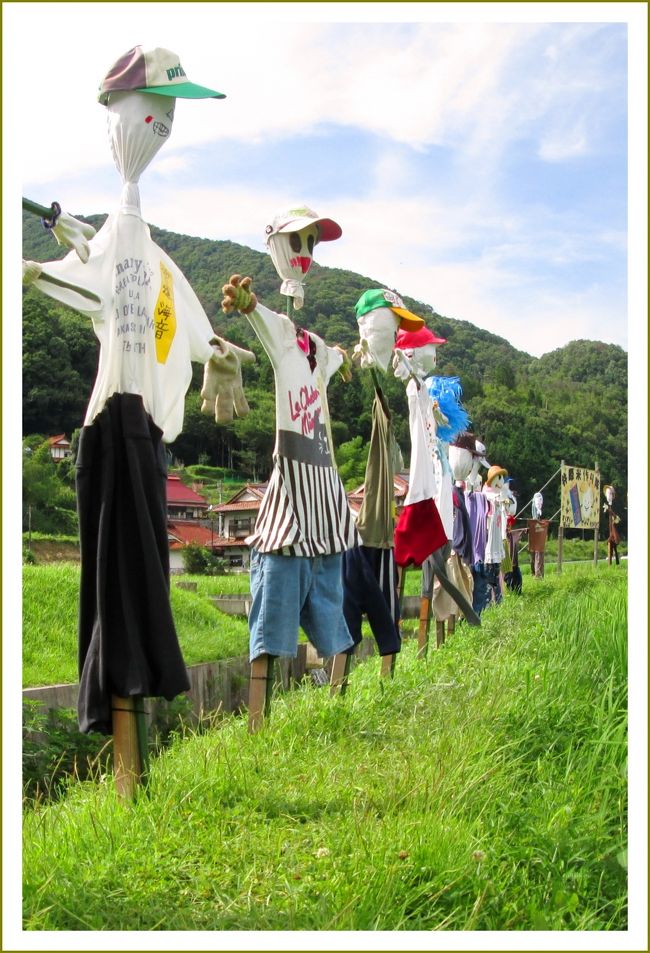 ■井原米作り隊案山子／広島県安佐北区白木町井原地区<br /><br />　白木街道（県道３７号線）安佐北区白木町井原地区で案山子の群れを発見！地元井原小学校の「すくすく田んぼ」。井原っ子の分身かかしが勢揃いです。今日から稲刈りの時期まで井原っ子の代わりにすくすく田んぼの稲を守っていきます。井原小学校ＨＰより<br /><br />【手記】<br />　夏と言えばひまわり！今年の「川とひまわりまつり」は７月18日（土）〜19日（日）でした。今年は時間の都合がつかず、行くことが出来ませんでしたが、一番大きなひまわり畑の藤兼会場は７月26日（日）まではひまわりを楽しめるということで出かけてきました。<br />　ひまわりまつりが終ったあとのひまわり畑は花数も減っていてなんとなく元気がないように感じました。ひまわり鑑賞が不完全燃焼〜。なので、このあとここまで来たついでに思い出がある場所までひとっ走り行ってきました。<br />　この旅日記はアップする気がなかったのですが、まあ、せっかく写真を撮ったことだし、案山子たちの表情がかわいかったので旅行記にしてみました。帰路途中で見かけた鷺たちと井原地区の田圃に立っていた案山子たちのブログです。ここの田圃に立つ案山子たちはたいへんかわいい。その光景は道行く人たちを和ませてくれる作品になっています。