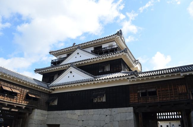 今日は松山城と宇和島城観光です。愛媛県は現存１２天守の２城を有する唯一の都道府県だそうです。<br /><br /><br />