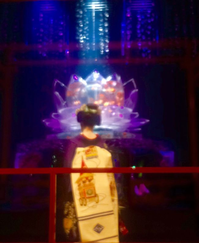 【アートアクアリウム2015<br />~江戸・金魚の涼~<br />ナイトアクアリウム<br />「舞妓ナイト」東京編!】<br />----------------<br />7月26日早朝、友人から電話あり。<br />「○○!27日!日本橋!夜10時!」<br />と、一言!電話は切れました(ー ー;)。<br /><br />∑(゚Д゚)特殊部隊の暗号?<br /><br />と思いましたが、<br />電話口から駅のアナウンス?電車待ちで要件だけ急いで告げた様?<br /><br />「メール!詳しい内容求む!」<br />私のメールに対し友人の返信内容は、<br /><br />「祇園の佳つ智さん。秋、芸妓。<br />明日夜10時、日本橋三井ホール喫煙所4日以内決定。」<br />(本人の了承を得てのコピペです)。<br /><br />「日本橋三井ホール」をGoogle検索して、事と次第がみえて来ました。<br /><br />つまり、友人の伝えたい内容とは、、