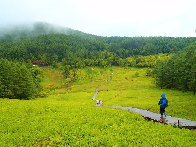 山登りはじめました！＜雨と霧の入笠ハイク＞