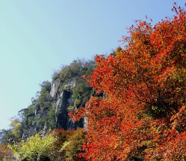 大分県の景勝地である深耶馬溪、紅葉の名所でもあります。<br />中津の街歩きも楽しみました。<br />