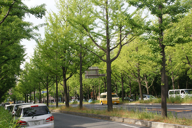 大阪府内での旅行記が20冊たまったので、“My Favorite 大阪”と題して、まとめてみました。<br /><br />2014年11月から2015年7月までの記録です。雑誌を読むように、サラサラと流して頂けると幸いです。<br /><br /><br />大阪まとめ旅行記<br /><br />My Favorite 大阪 VOL.1<br />http://4travel.jp/travelogue/10962773<br />