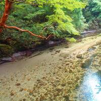 屋久島旅行2日目＜宮之浦岳＞