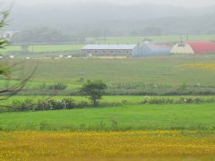 天塩川沿いに走り、原野と牧場が眺められる宗谷本線の旅（北海道）