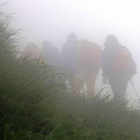 霧の秋田駒ケ岳を高山植物を愛でながら完歩