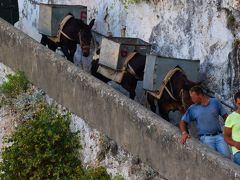 楽しかった～　2015　猛暑のイタリア（アマルフィ・ローマ・フィレンツェ・ベネチア）　スケジュール等備忘録