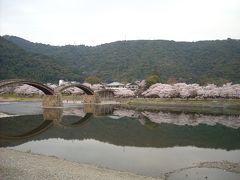 桜と錦帯橋と岩国城など
