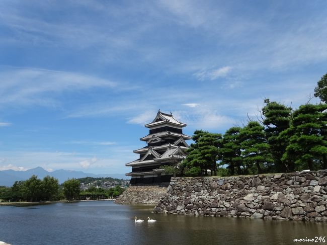 2015夏の花旅：(1)松本城～旧開智学校