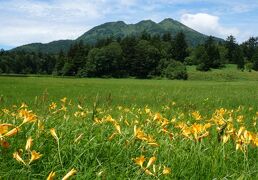 今度は尾瀬沼！ニッコウキスゲの花景色を見るトレッキング